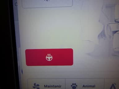 Tesla Model S 2019 - Thumbnail 20